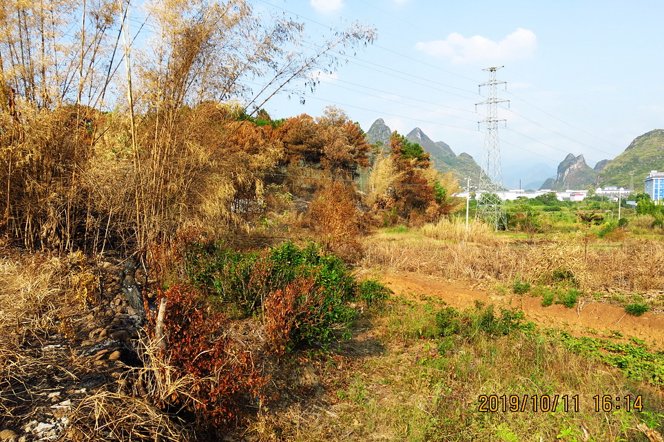 秋日“扫黄”扫出别有风味的风景。663 / 作者:平安大叔 / 帖子ID:269098
