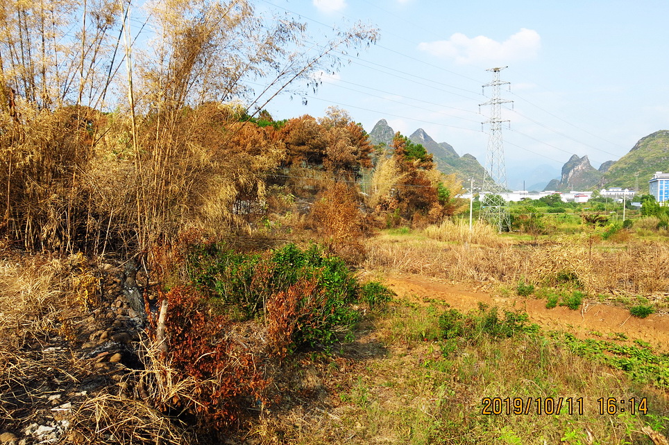 秋日“扫黄”扫出别有风味的风景。188 / 作者:平安大叔 / 帖子ID:269098