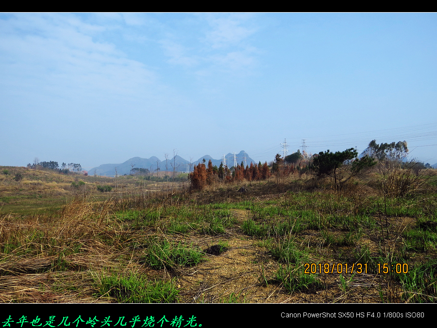 险火，同乐洲山火竟烧到燕岩变电站旁！494 / 作者:平安大叔 / 帖子ID:269175