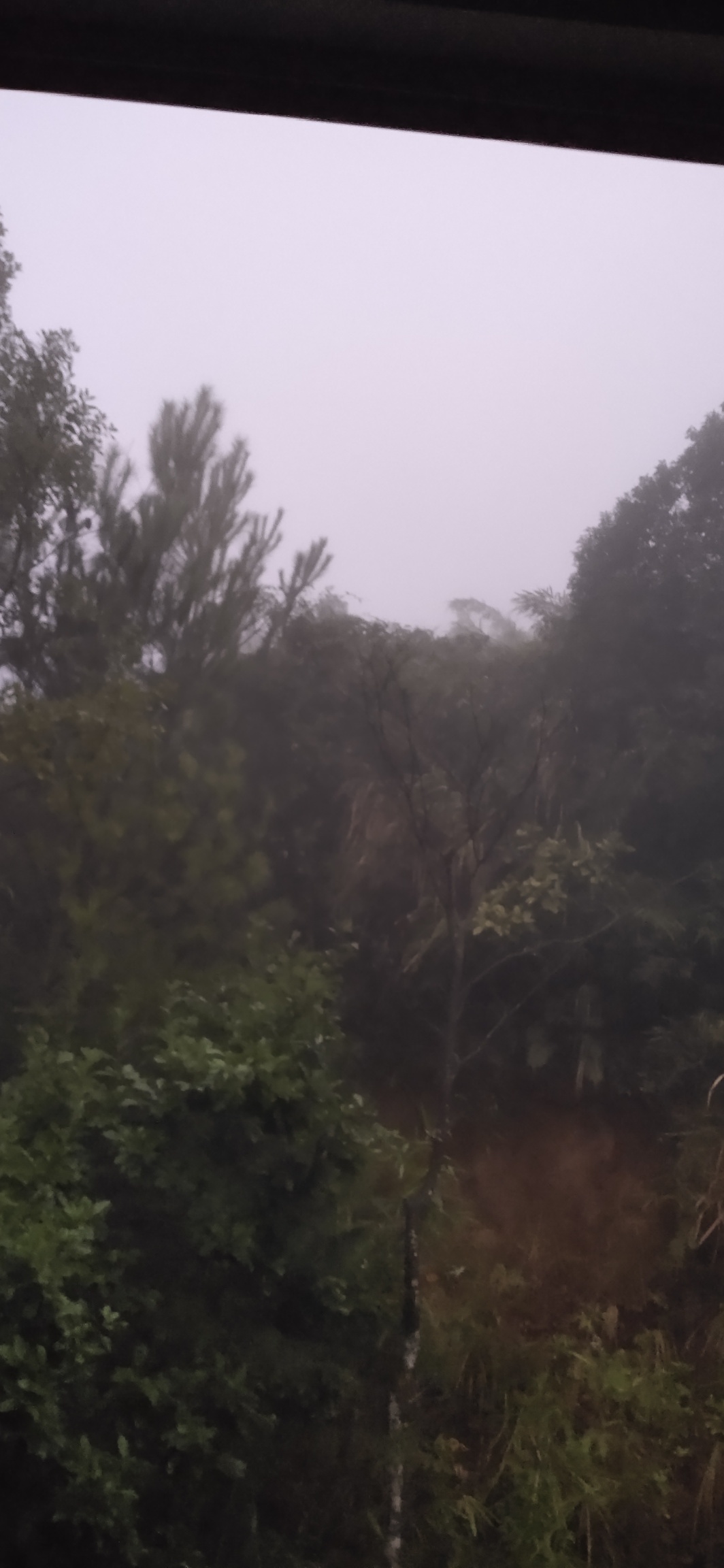 冷空气南下，恭城迎来今年入秋以来的首场中雨101 / 作者:瑤人老李 / 帖子ID:269196