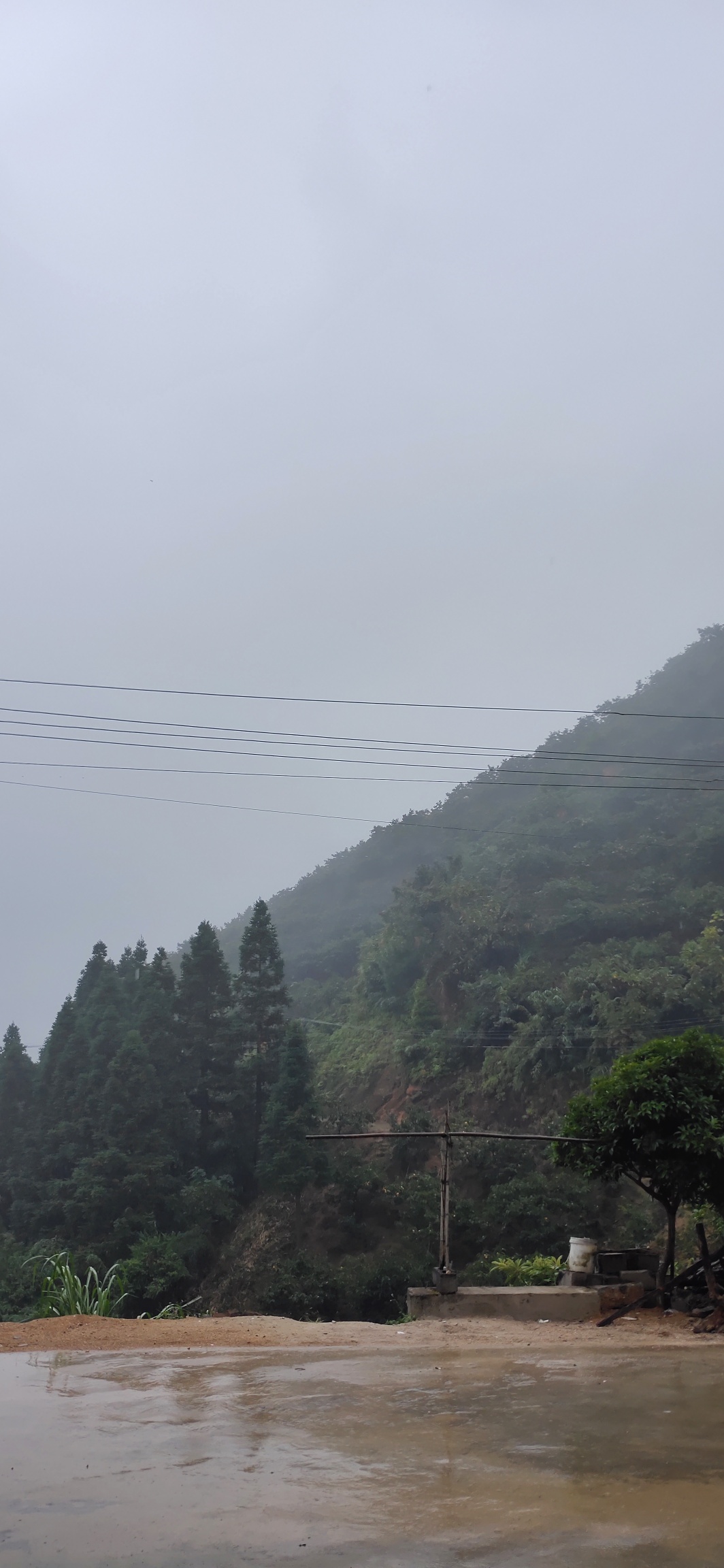 冷空气南下，恭城迎来今年入秋以来的首场中雨867 / 作者:瑤人老李 / 帖子ID:269196