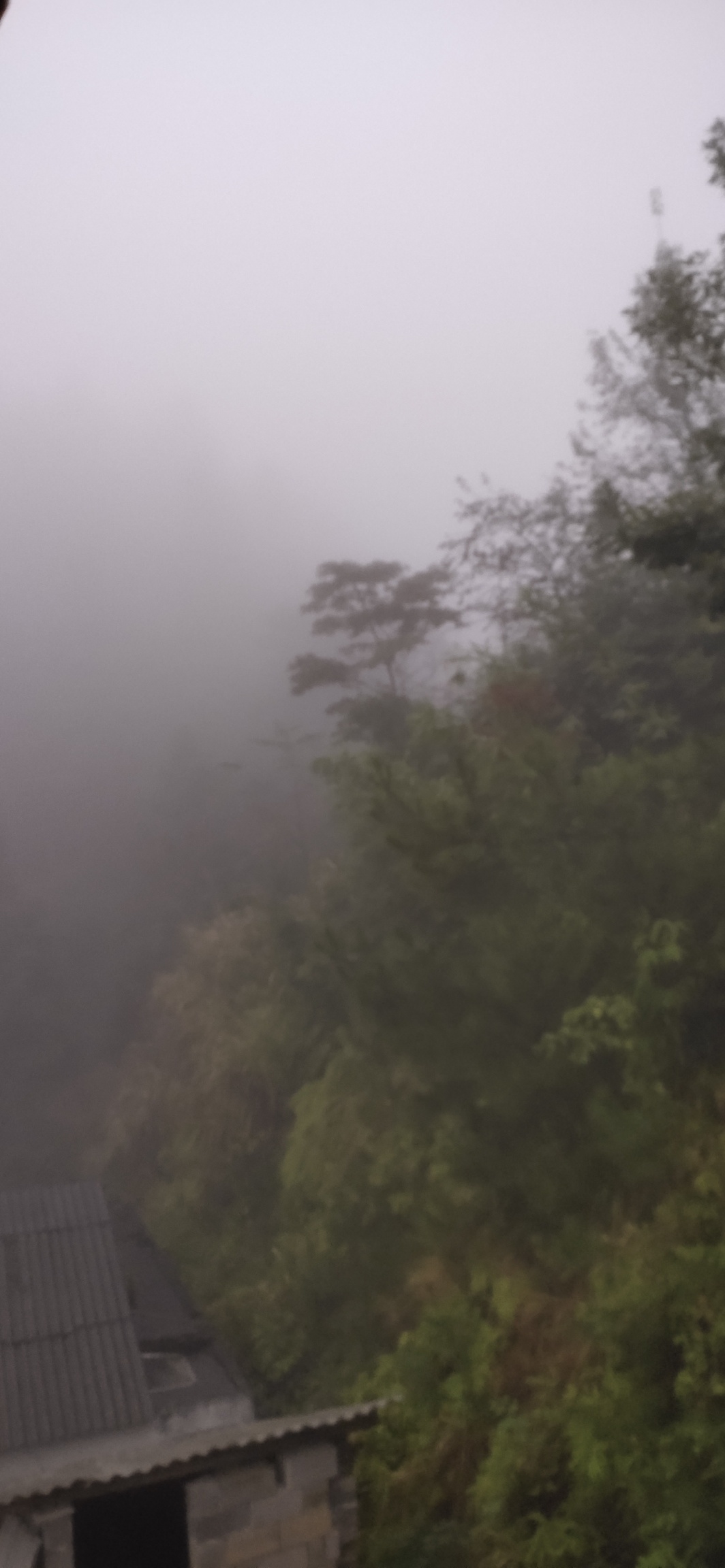 冷空气南下，恭城迎来今年入秋以来的首场中雨869 / 作者:瑤人老李 / 帖子ID:269196