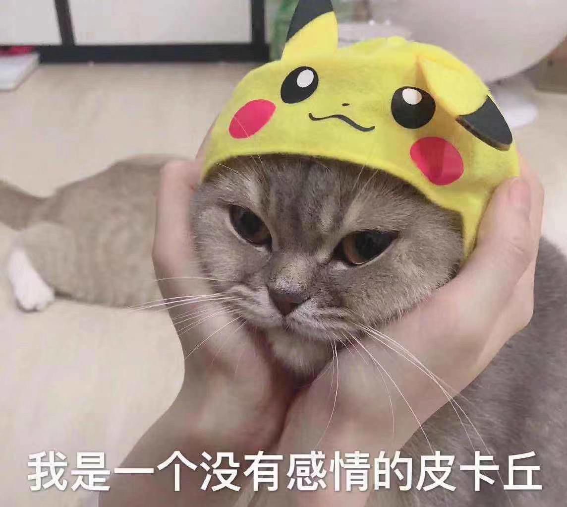而立之年希望遇见你811 / 作者:萧条百依 / 帖子ID:269272