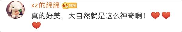 【荐读】千年银杏“爆炸”了252 / 作者:登山涉水 / 帖子ID:269412
