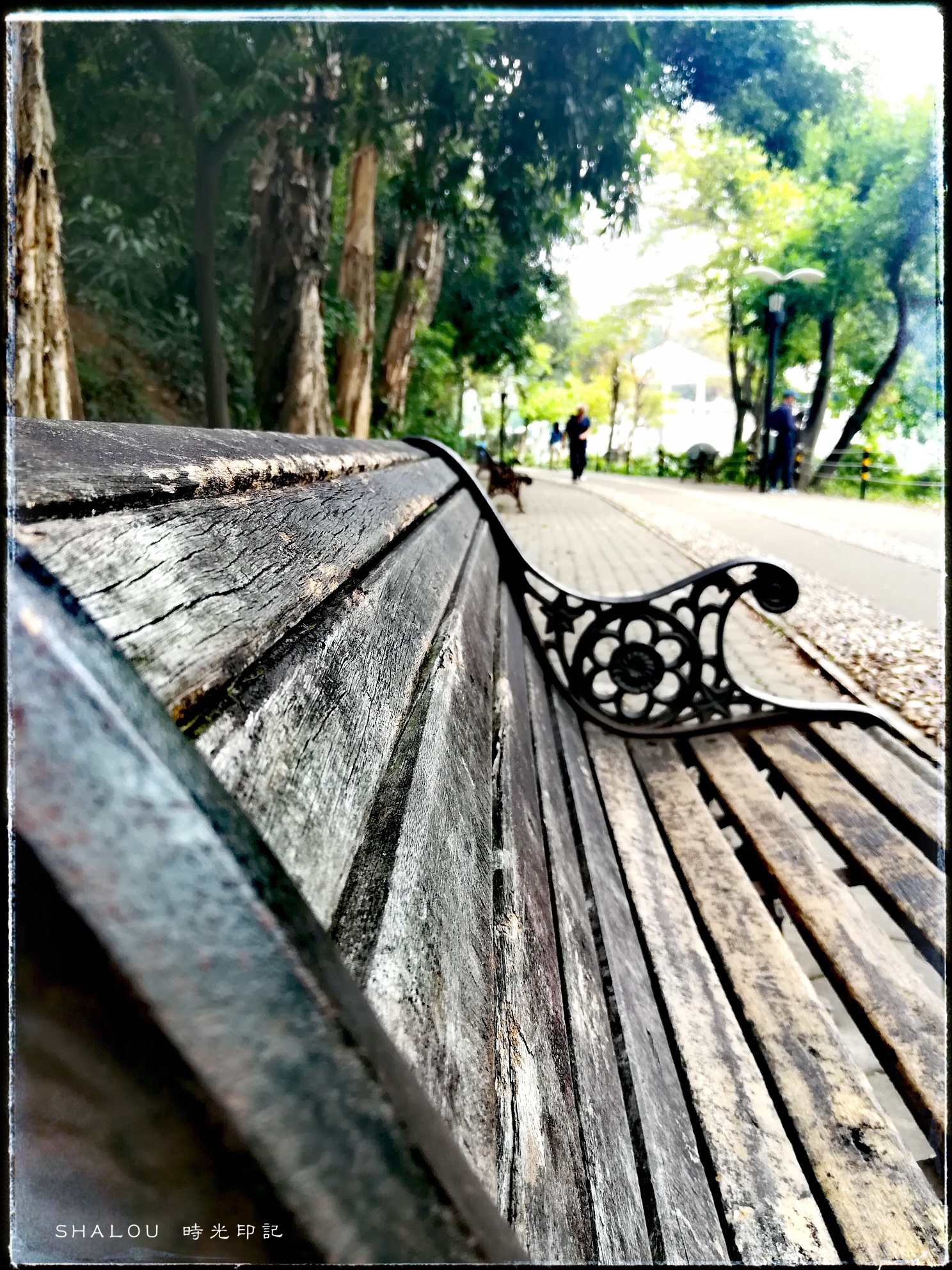 時光印記371 / 作者:SHALOU / 帖子ID:269496