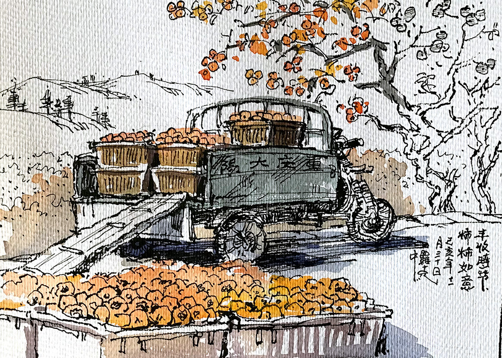 恭城金秋柿柿如意，手绘瑶乡幅幅顺心781 / 作者:箩筐索 / 帖子ID:269610