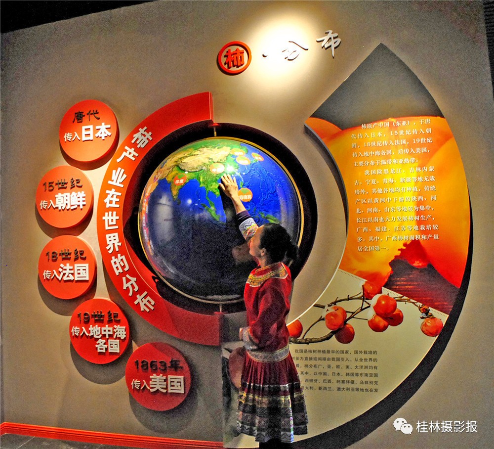 恭城：中国月柿博物馆！186 / 作者:一条龙 / 帖子ID:269650
