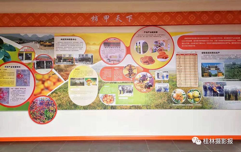 恭城：中国月柿博物馆！629 / 作者:一条龙 / 帖子ID:269650
