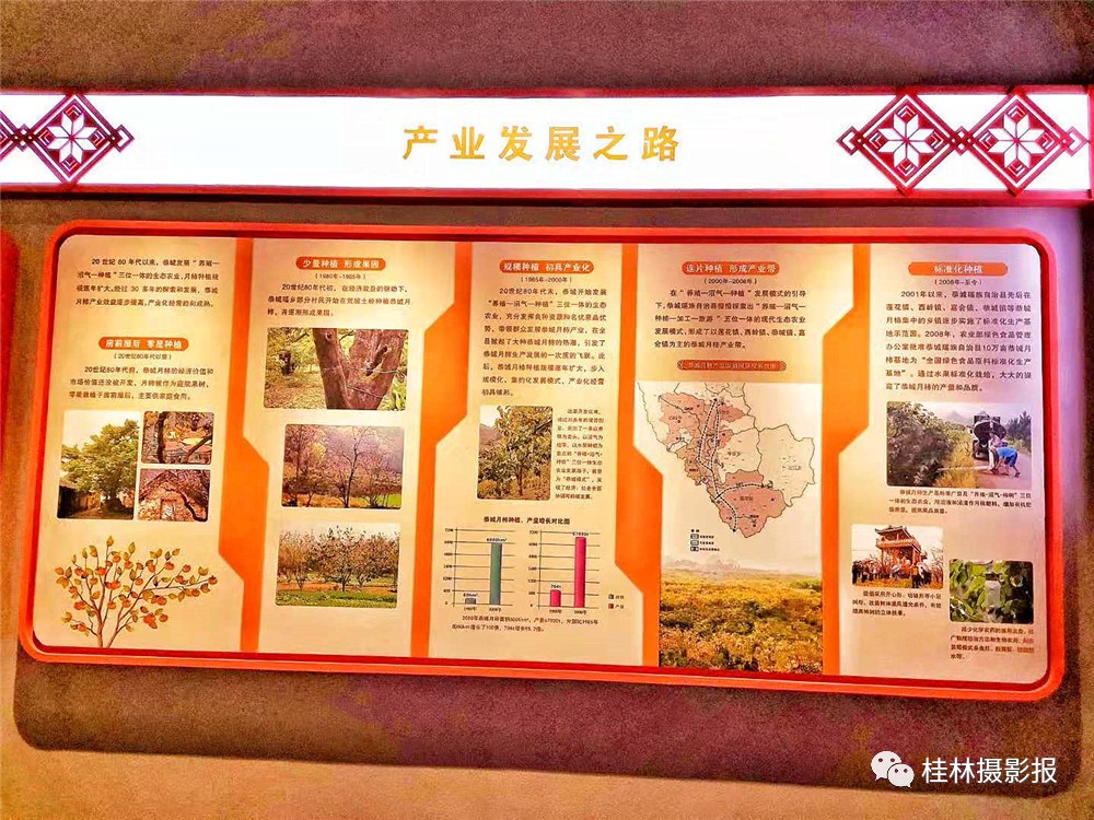 恭城：中国月柿博物馆！696 / 作者:一条龙 / 帖子ID:269650