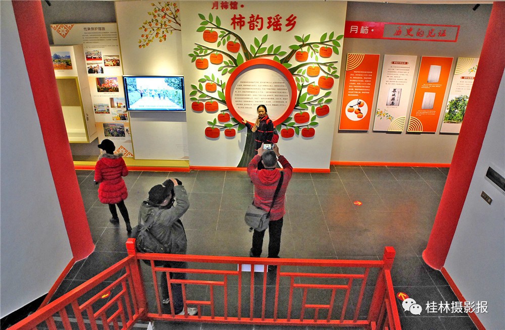 恭城：中国月柿博物馆！976 / 作者:一条龙 / 帖子ID:269650