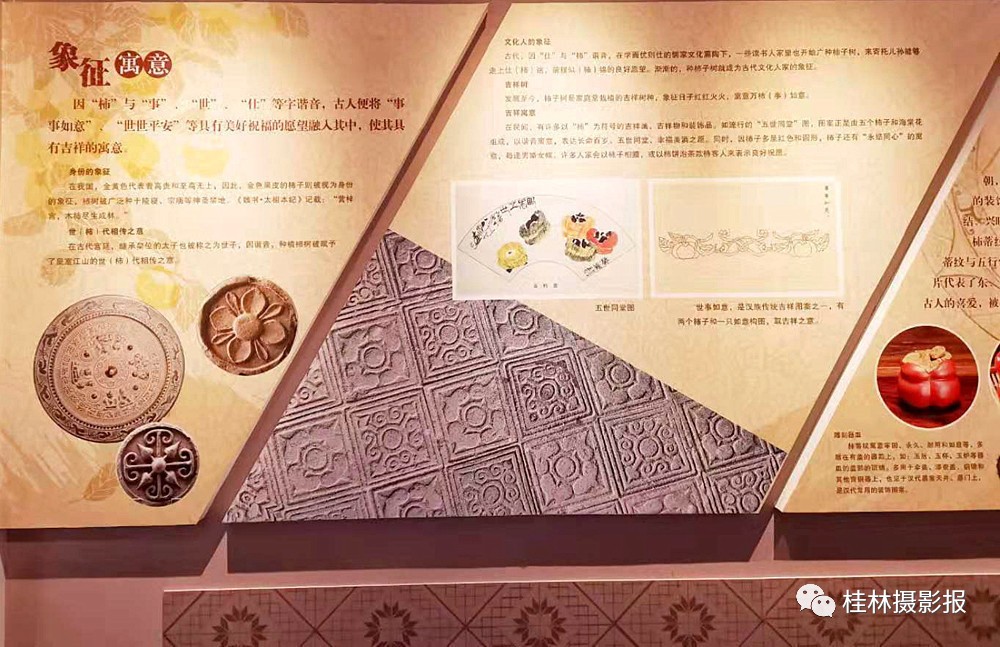 恭城：中国月柿博物馆！74 / 作者:一条龙 / 帖子ID:269650