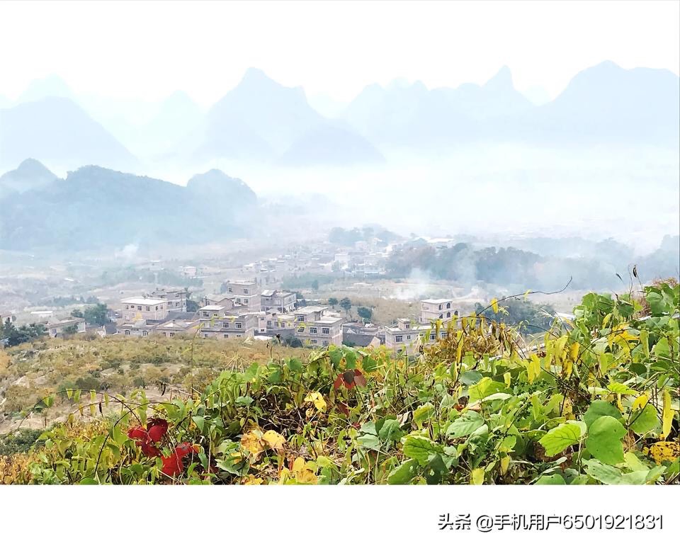 金秋时节622 / 作者:陈志达71 / 帖子ID:269736