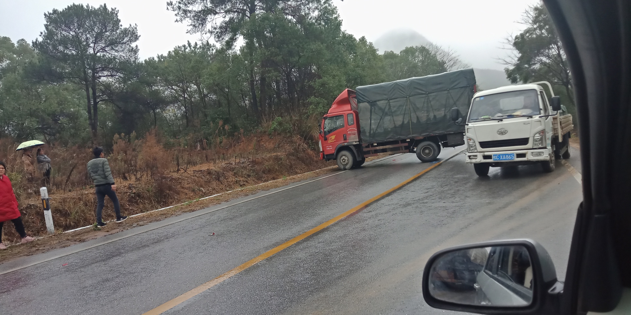 高凉亭发现”霸道“，牛！981 / 作者:荣哥 / 帖子ID:269830