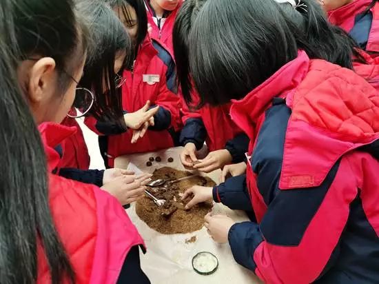 茶江书院第一期中医中药研学活动顺利启动696 / 作者:论坛小编01 / 帖子ID:269869