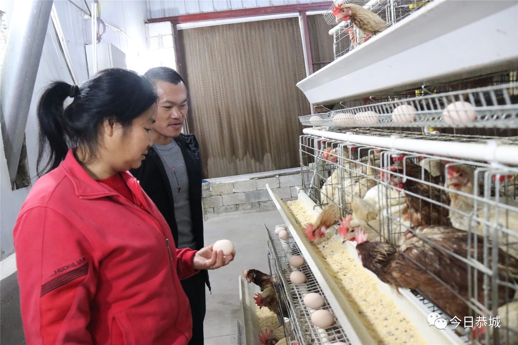 【身边典型】女支书陈绪英不让须眉 带领古城村走上致富路407 / 作者:论坛小编01 / 帖子ID:269908