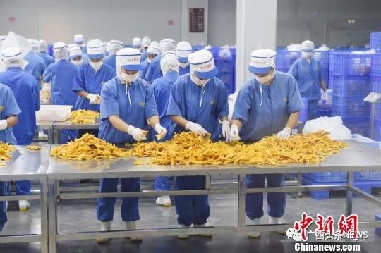 &#8203;恭城瑶族自治县健康养生小镇（平安镇）入选第二批广西特色小镇培育名单！690 / 作者:东门头人 / 帖子ID:269928