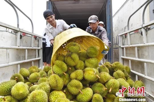 &#8203;恭城瑶族自治县健康养生小镇（平安镇）入选第二批广西特色小镇培育名单！536 / 作者:东门头人 / 帖子ID:269928