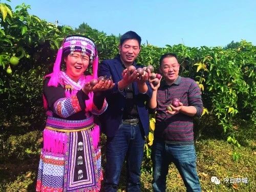 【身边典型】栗木镇90后“村官”汪富林带领乡亲脱贫致富563 / 作者:顺势而为47 / 帖子ID:270138