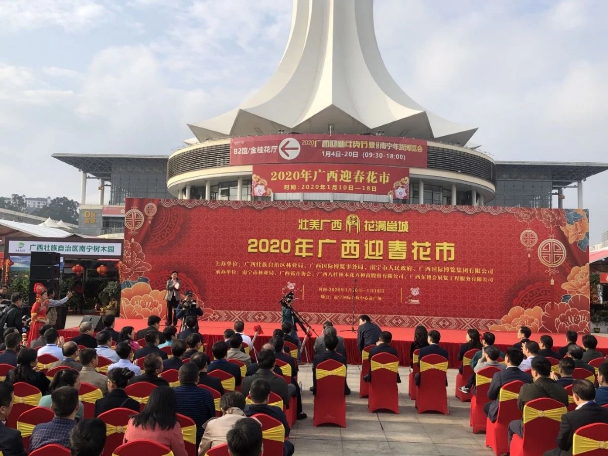 太美！广西迎春花市免费开放，1000多种鲜花在这里盛开！971 / 作者:万胜 / 帖子ID:270147