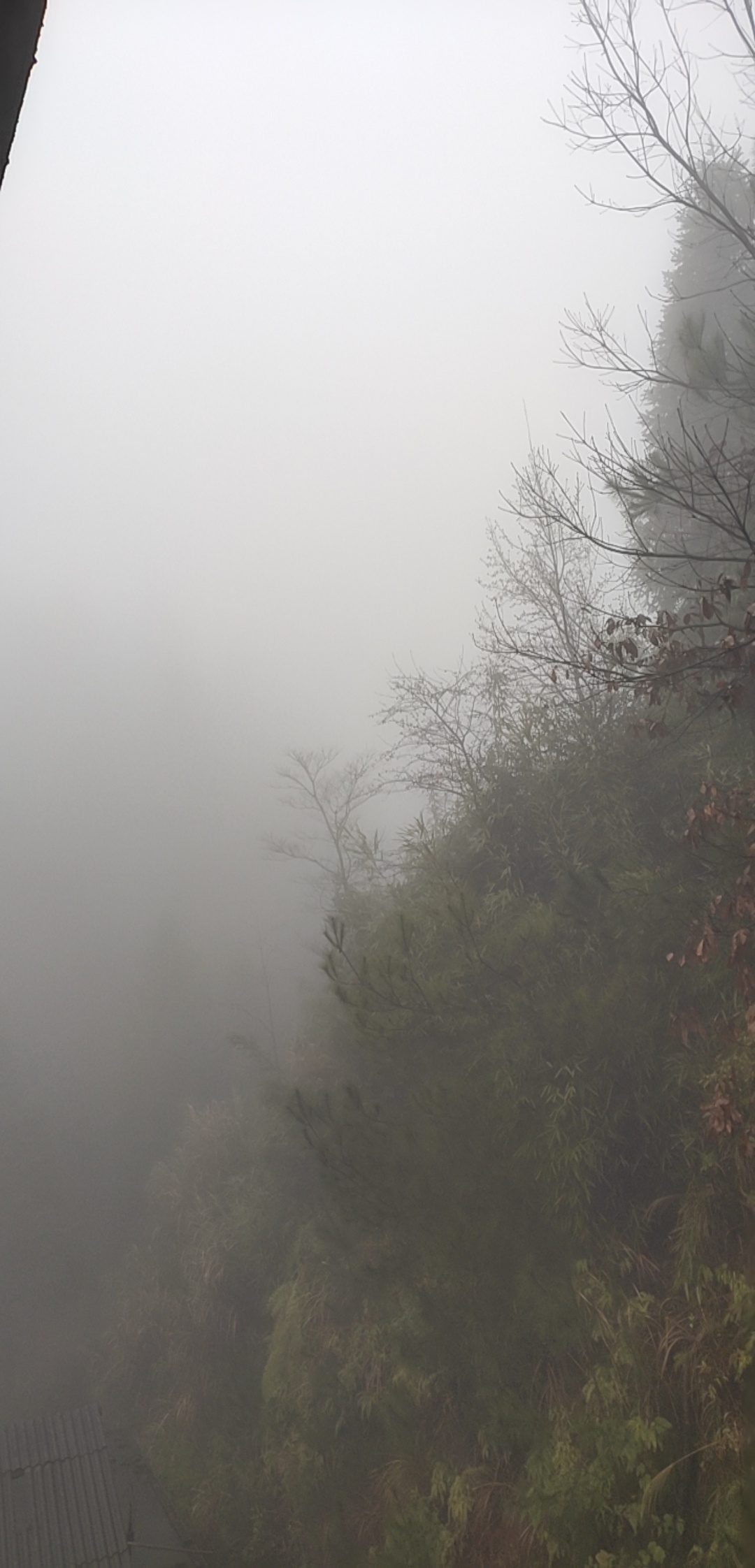 “烂春四十天”？278 / 作者:瑤人老李 / 帖子ID:270453