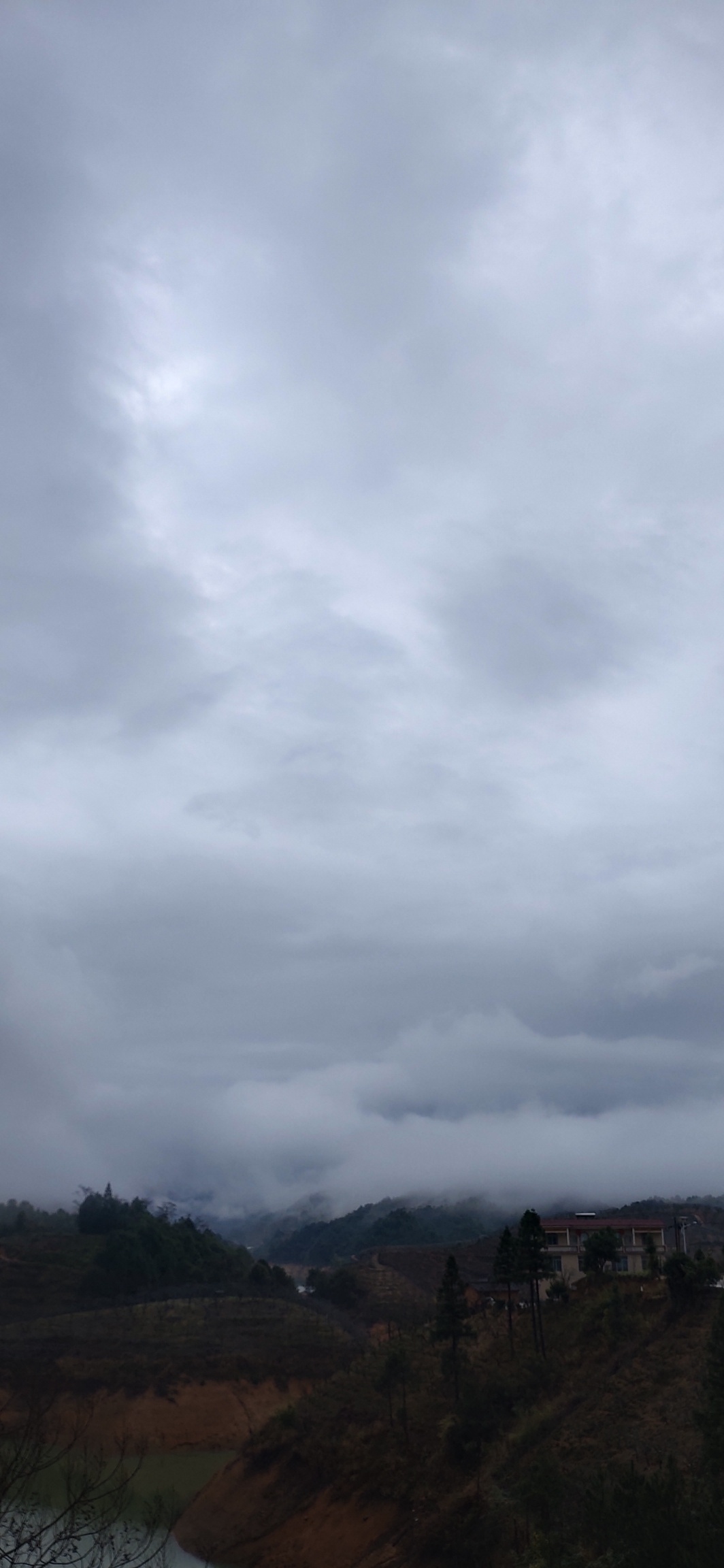 “烂春四十天”？78 / 作者:瑤人老李 / 帖子ID:270453