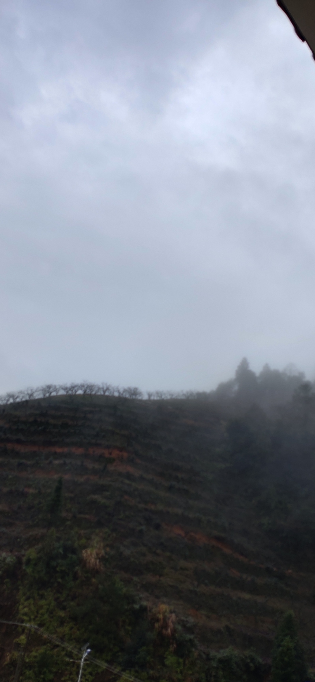 “烂春四十天”？817 / 作者:瑤人老李 / 帖子ID:270453