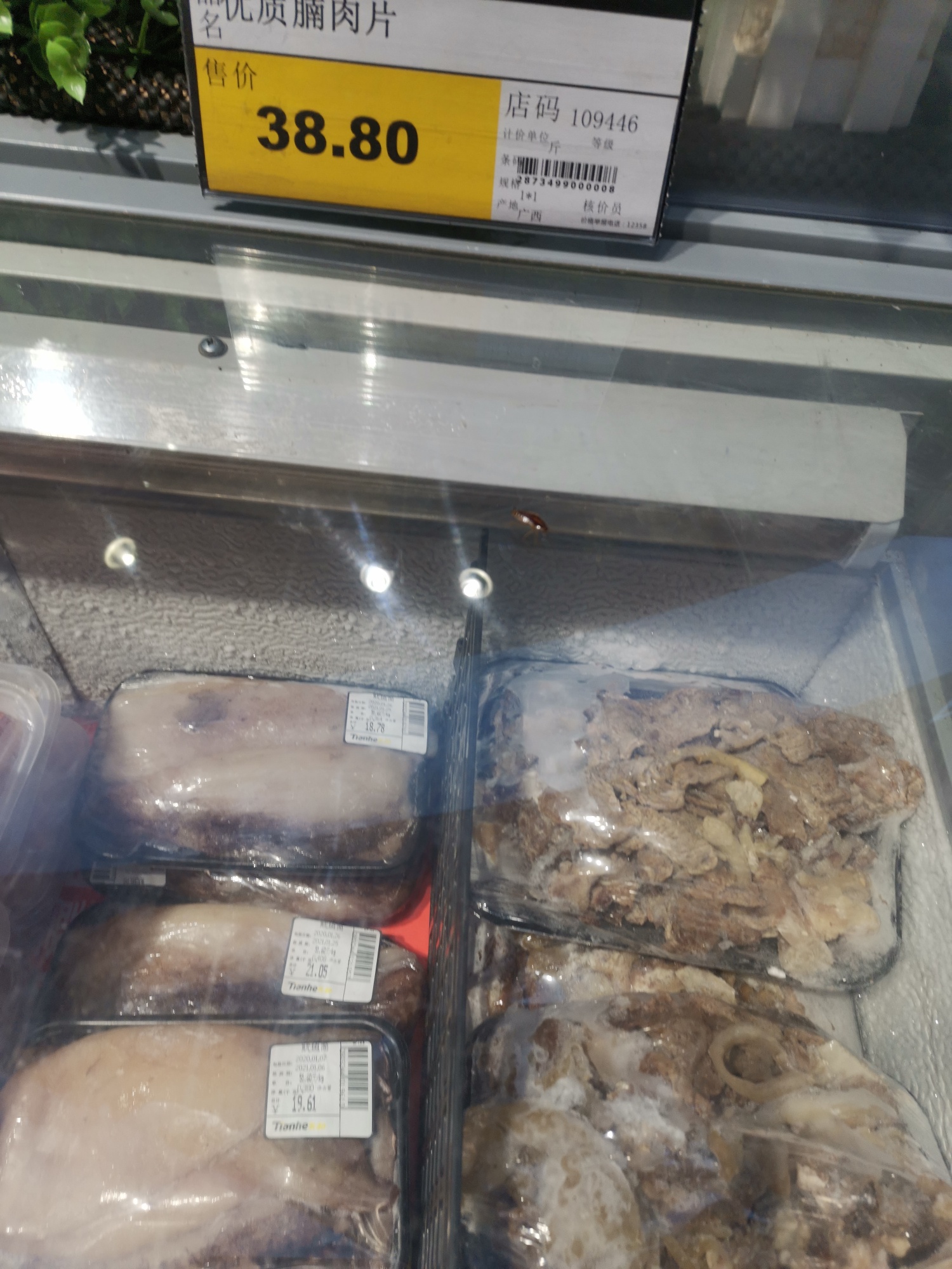 天和超市冻肉柜这里可以杀下虫了923 / 作者:forregistuse / 帖子ID:270465