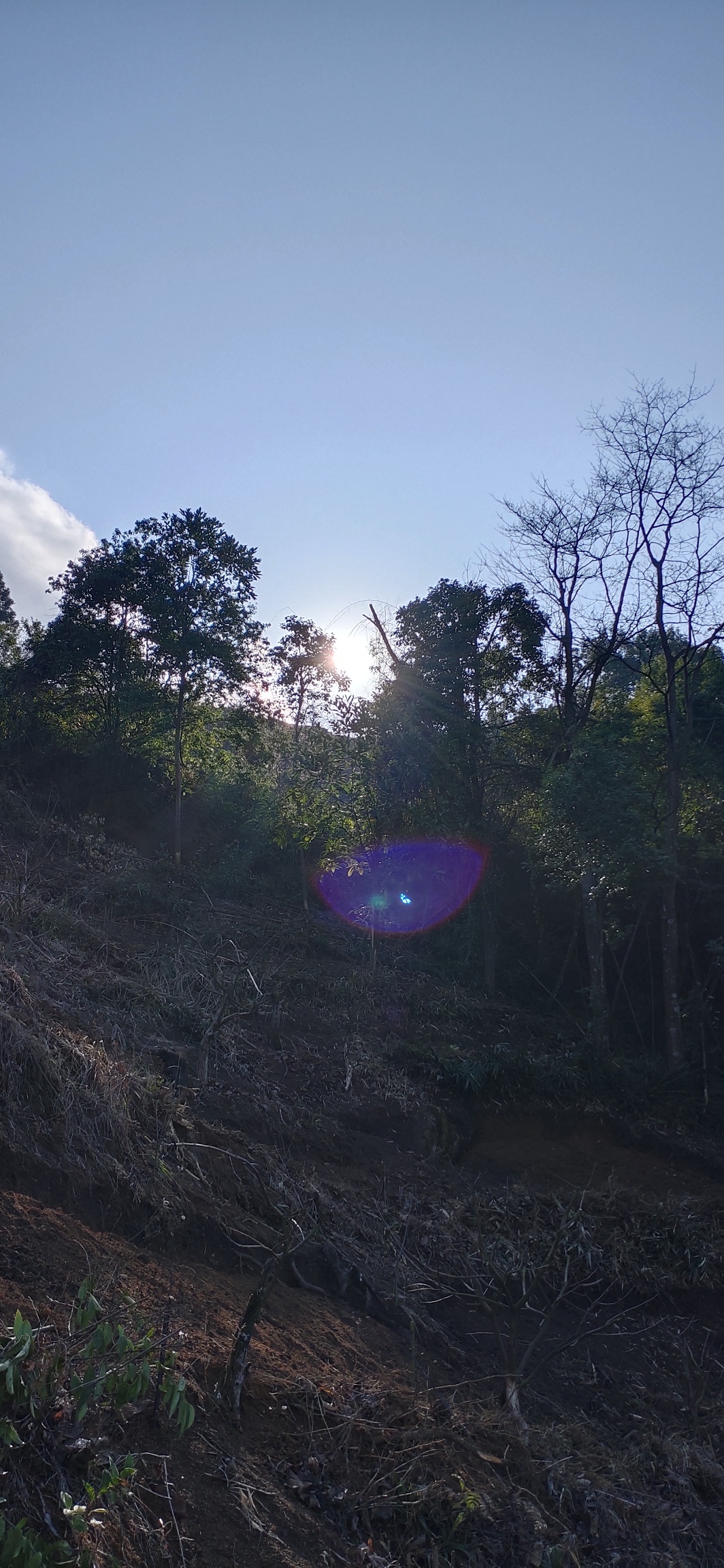 天，终于是晴了24 / 作者:瑤人老李 / 帖子ID:270567