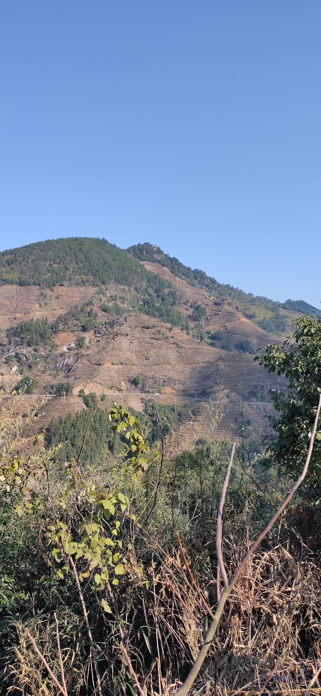 天，终于是晴了227 / 作者:瑤人老李 / 帖子ID:270567