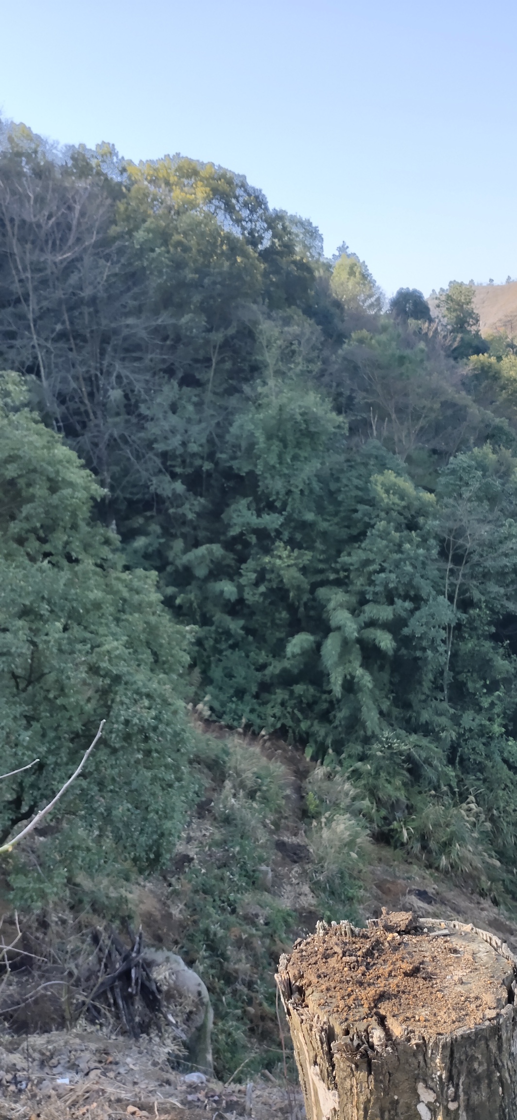 天，终于是晴了49 / 作者:瑤人老李 / 帖子ID:270567