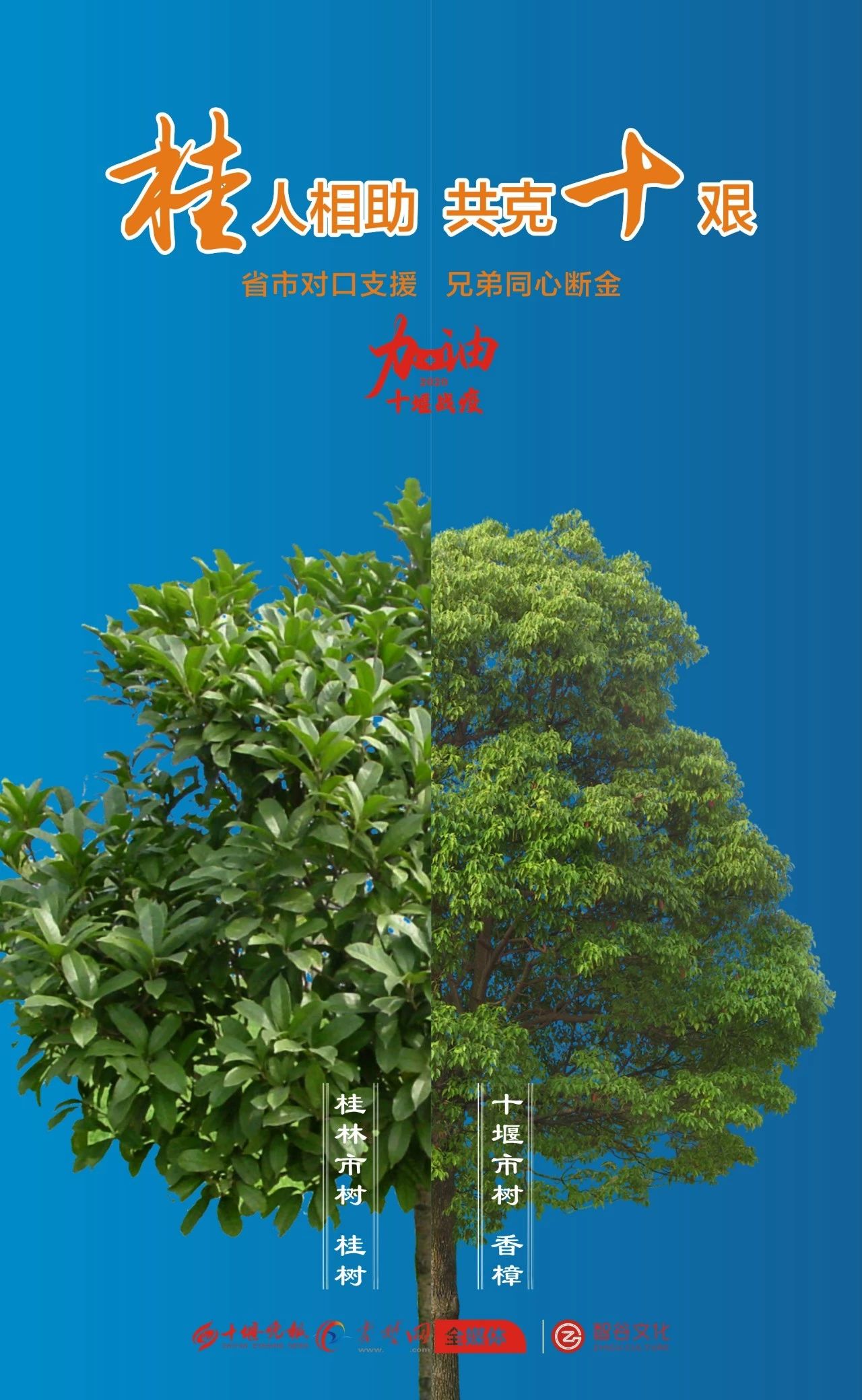 重磅！湖北这个景区对全体桂林人免费开放一年！只因……355 / 作者:登山涉水 / 帖子ID:270688