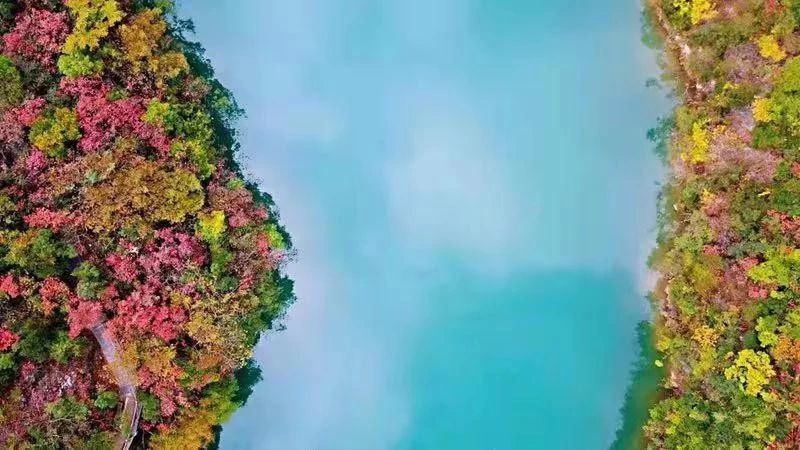 重磅！湖北这个景区对全体桂林人免费开放一年！只因……235 / 作者:登山涉水 / 帖子ID:270688