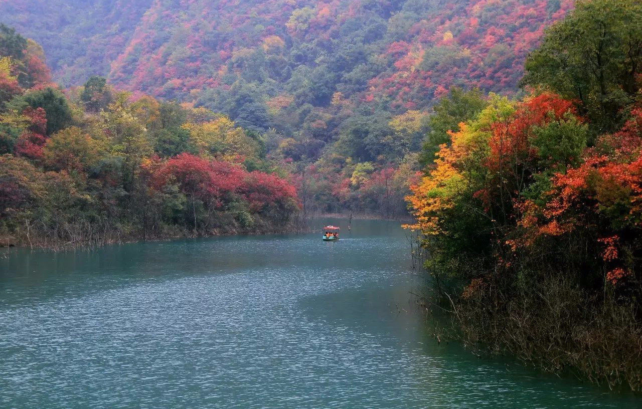 重磅！湖北这个景区对全体桂林人免费开放一年！只因……840 / 作者:登山涉水 / 帖子ID:270688