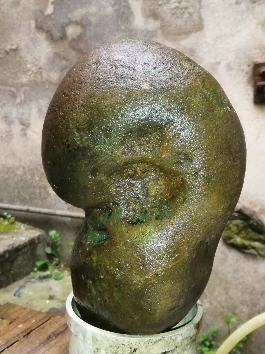 恭城虫眼石144 / 作者:风凌天下 / 帖子ID:270702