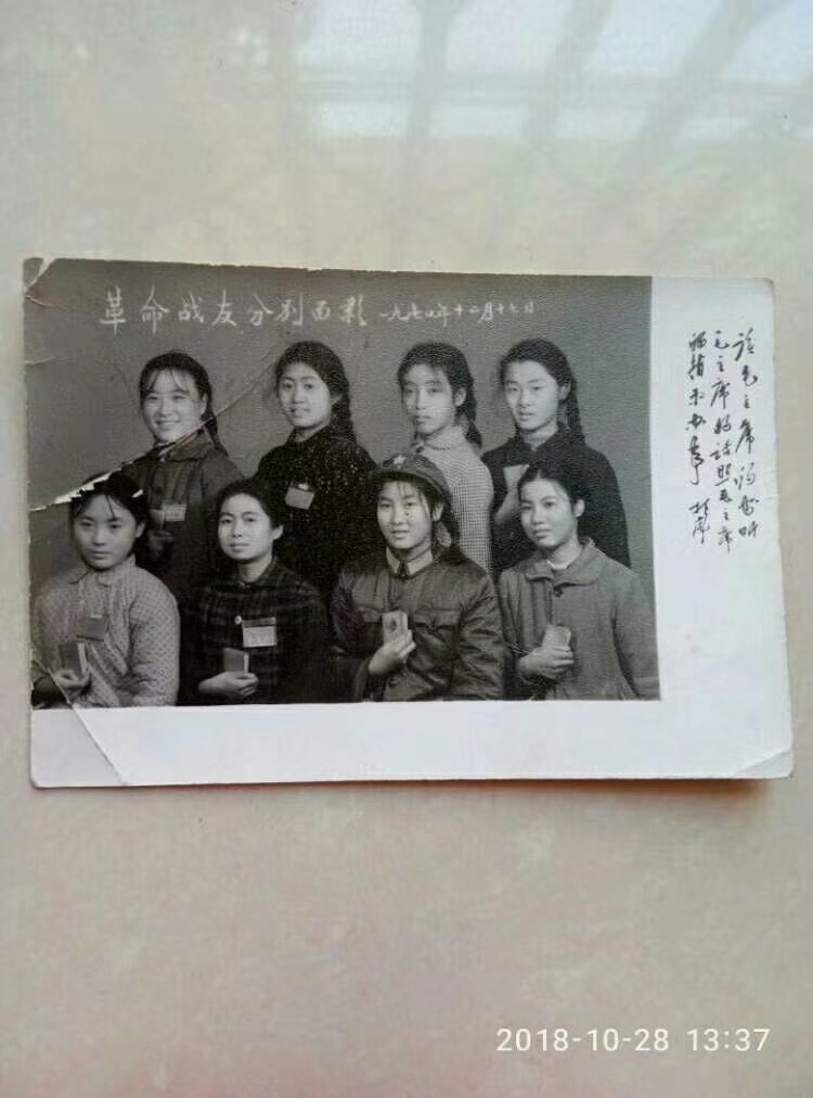 懵懂的年代109 / 作者:风凌天下 / 帖子ID:270738