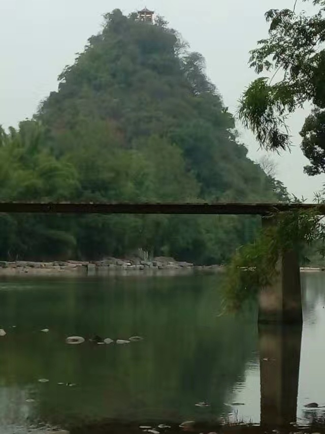 重游社山202 / 作者:风凌天下 / 帖子ID:270885