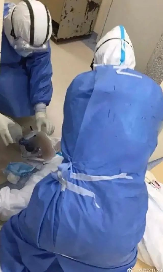 仍处于深度昏迷！广西援鄂医疗队护士梁小霞转运回南宁继续救治！769 / 作者:登山涉水 / 帖子ID:271066