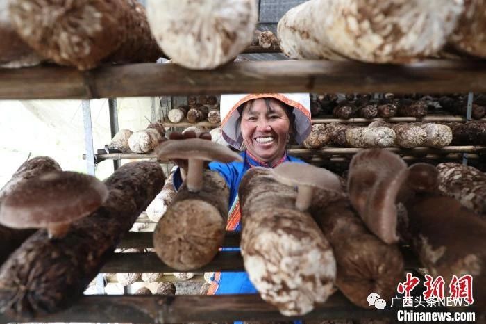广西下达一批财政专项资金，恭城也有！重点用于...720 / 作者:论坛小编01 / 帖子ID:271800