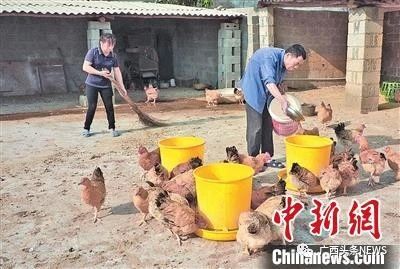 广西下达一批财政专项资金，恭城也有！重点用于...788 / 作者:论坛小编01 / 帖子ID:271800