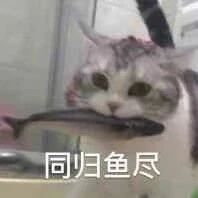 钓鱼这件事到底有多上瘾？？？65 / 作者:登山涉水 / 帖子ID:271945