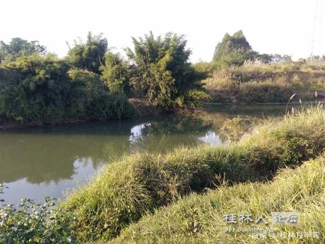走进唐朝桂柳运河之一349 / 作者:麻辣鸡翅 / 帖子ID:272045