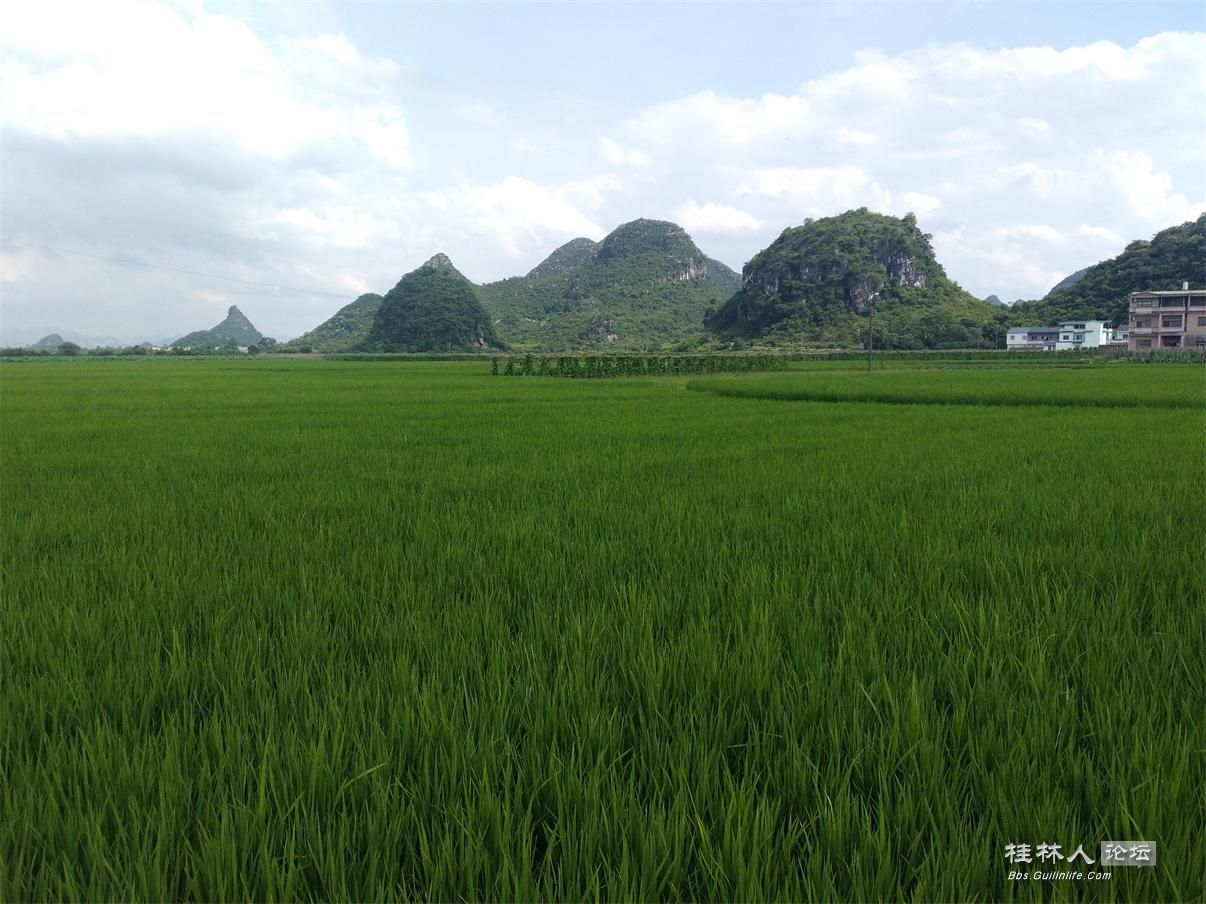 走进唐朝桂柳运河之一97 / 作者:麻辣鸡翅 / 帖子ID:272045