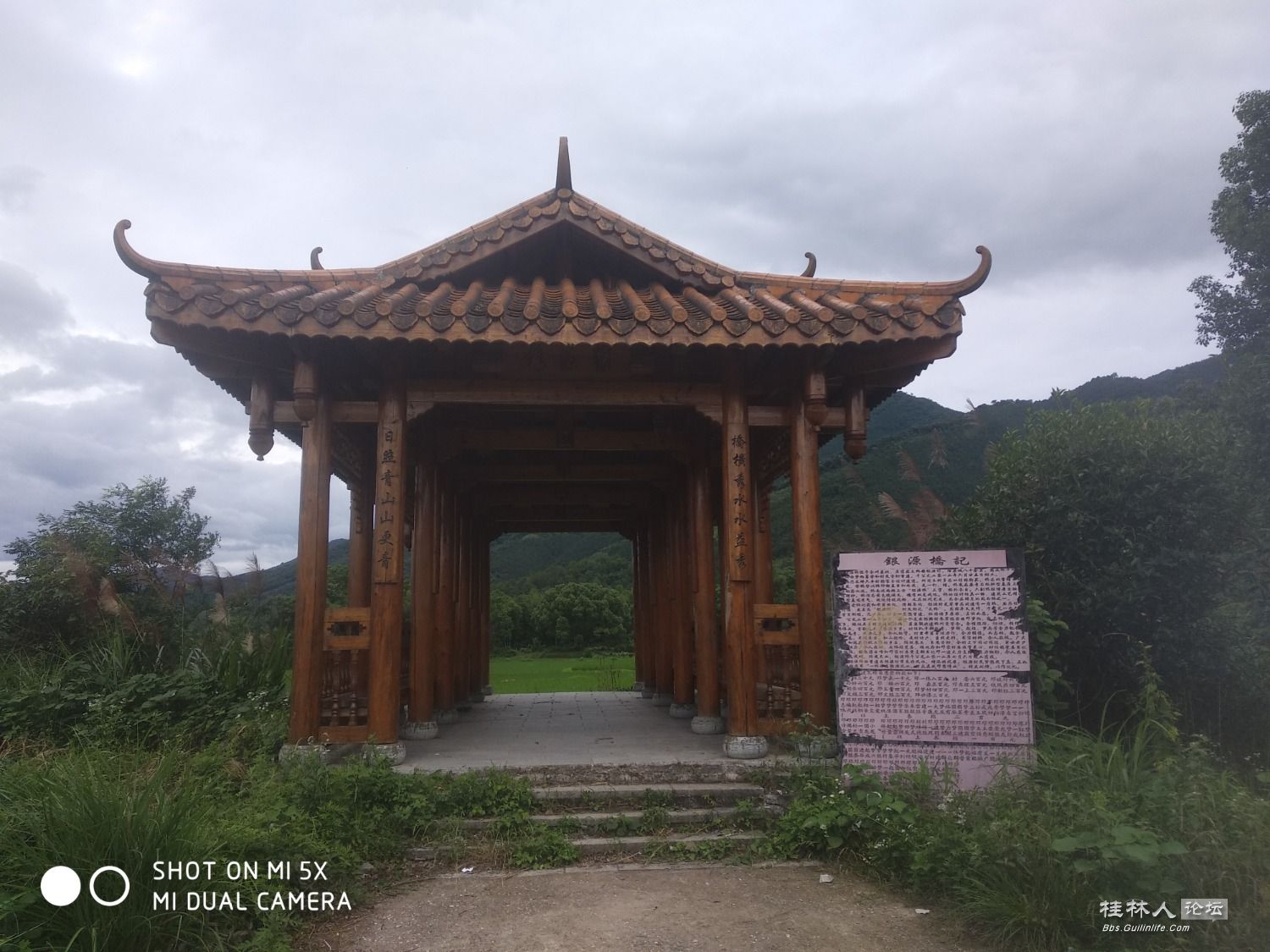 家乡的古樟树和风雨桥98 / 作者:形腿望舞 / 帖子ID:272232