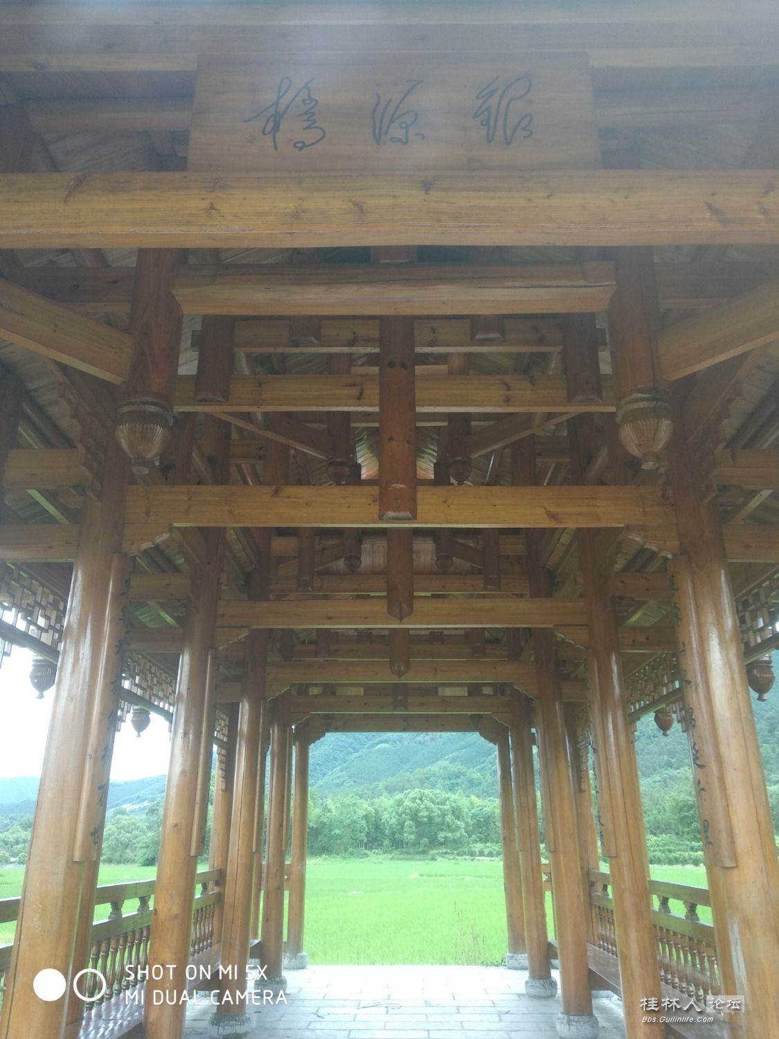 家乡的古樟树和风雨桥259 / 作者:形腿望舞 / 帖子ID:272232