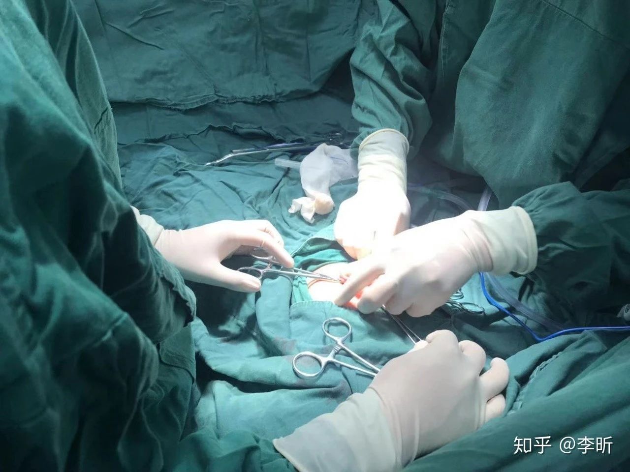 我听过最糟糕的育儿建议：他还是个孩子332 / 作者:kevinbe888 / 帖子ID:272262