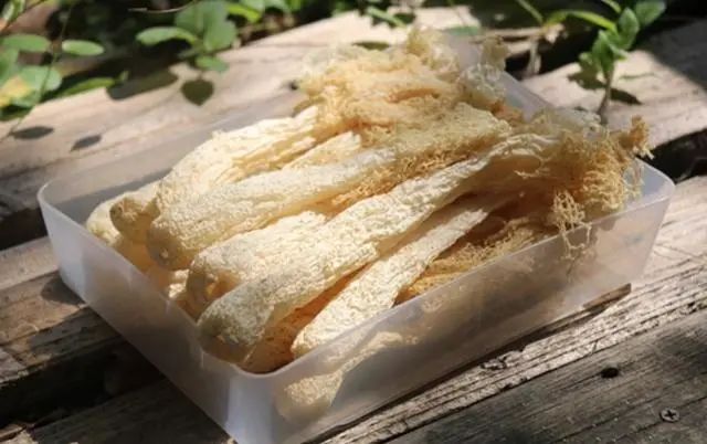 竹荪被称为“菌中皇后”，是炖汤的好原料，营养价值超高！228 / 作者:kevinbe888 / 帖子ID:272493