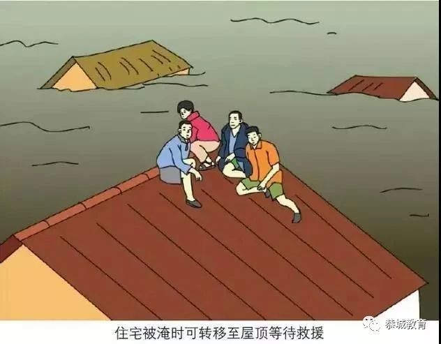 【安全知识普及篇】如何应对山洪583 / 作者:论坛小编04 / 帖子ID:272637