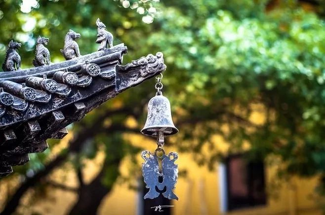 人不一定信佛，但一定要有佛性708 / 作者:雨云儿 / 帖子ID:272988