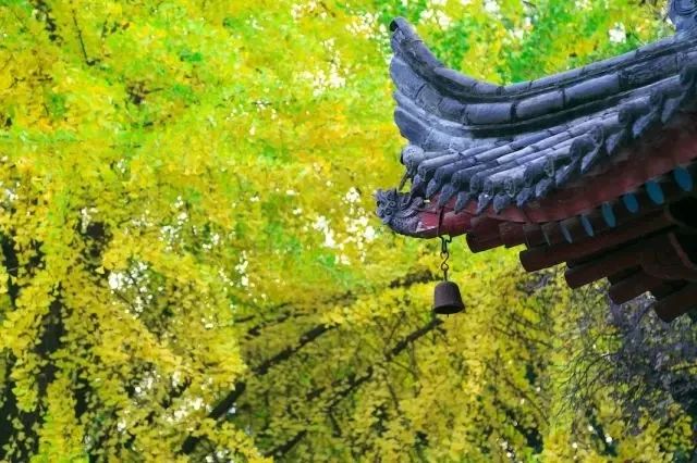 人不一定信佛，但一定要有佛性886 / 作者:雨云儿 / 帖子ID:272988