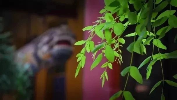 人不一定信佛，但一定要有佛性652 / 作者:雨云儿 / 帖子ID:272988